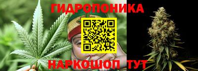 гидропоника Дубна